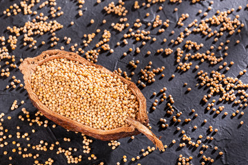 Sinapis alba - Organic mustard seeds