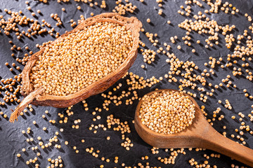 Yellow mustard seeds - Sinapis alba