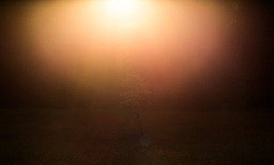 abstract background with sun rays of light