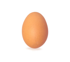 Egg isolated on white background 