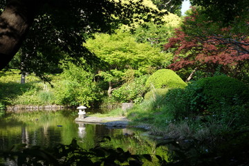 Japanischer Zen Garten in Tokyo