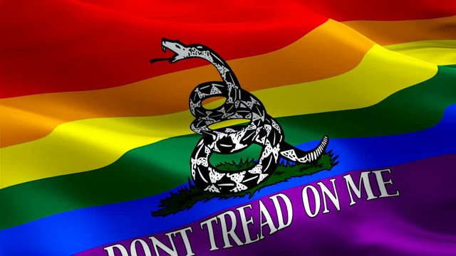 Rainbow Gay Gadsden lgbtq flag video waving in wind. Don't tread on me Gay Pride flag background. Rainbow Flag Looping 1080p Full HD 1920X1080 footage. Rainbow colors Pride flags of legalizing Gender 