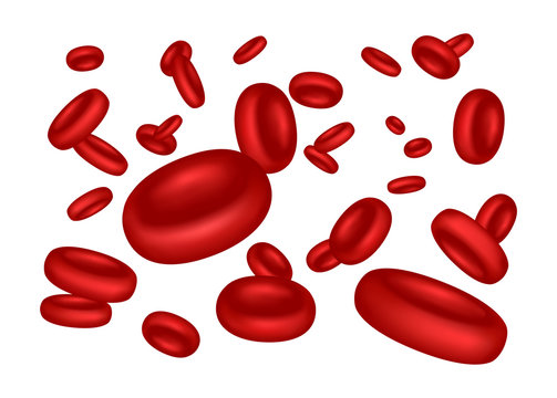 Vector illustration of flowing erythrocytes (red blood cells) on white background