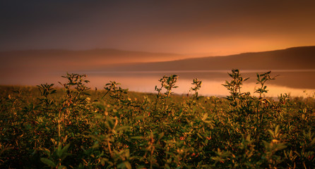 Obraz premium sunset over a field