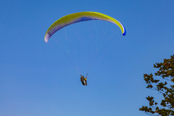 Paraglider soars in the blue cloudless sky