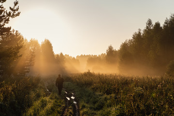 Bird Hunter at Sunrise going for hunt in a forest with his shotgun rifle. - 297435173