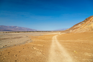 Fototapeta na wymiar Car Tracks through the desert