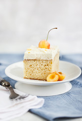 Delicious homemade vanilla and cream Three milk cake (Tres leches)