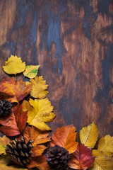 Fallen leaves on wooden background, top view, copy space