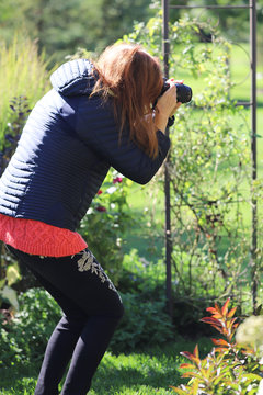 Ginger haired female wearing fashion pants, photographing butterflies in a cottage garden