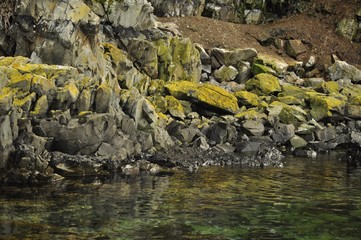 Beautiful Rocks Near a Coast