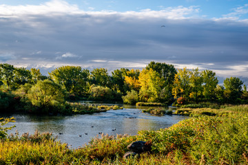 Scenic view by the riverside 
