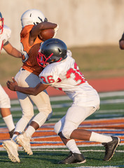 Great action photos of football players making amazing plays during a football game