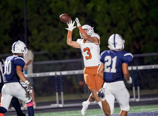 Great action photos of football players making amazing plays during a football game © Joe
