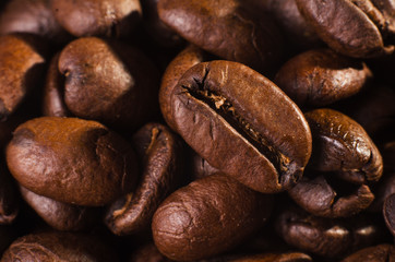 many freshly roasted coffee beans
