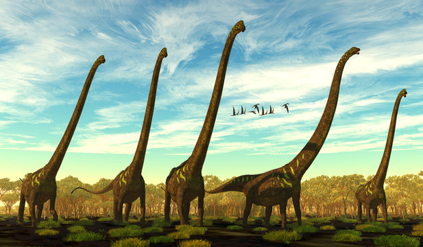 Mamenchisaurus youngi Dinosaur Herd - Mamenchisaurus youngi was a sauropod dinosaur that lived in China during the Jurassic Period. A flock of Dorygnathus reptiles fly nearby.