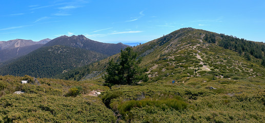 Naklejka premium Panoramic view of the Guadarrama summits
