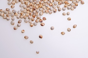 Uncooked raw Sorghum (also known as sorgo) on white background