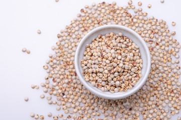 Uncooked raw Sorghum (also known as sorgo) in a white bowl, isolated on white background