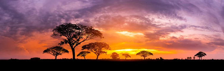 Tuinposter Panorama silhouet boom in Afrika met zonsondergang. Boom afgetekend tegen een ondergaande zon. Donkere boom op open veld dramatische zonsopgang. Typische Afrikaanse zonsondergang met acaciabomen in Masai Mara, Kenia © noon@photo