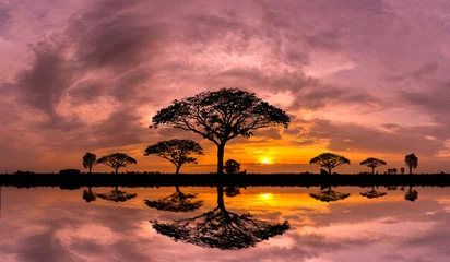 Türaufkleber Sammlungen Panorama-Silhouette-Baum und Berg mit Sonnenuntergang. Baum silhouettiert gegen eine untergehende Sonnereflexion auf dem Wasser. Typischer afrikanischer Sonnenuntergang mit Akazienbäumen in Masai Mara, Kenia.
