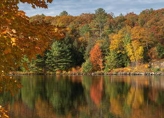 Obraz premium Autumn at the lake