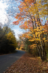 Obraz premium Autumn colours on the country roads in Muskoka