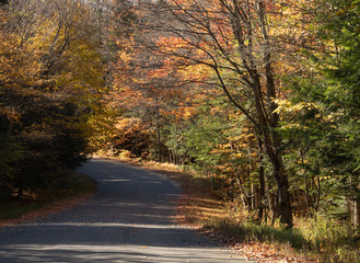 Autumn colours on the country roads in Muskoka