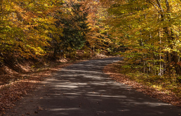 Autumn colours on the country roads in Muskoka
