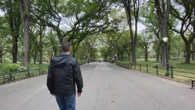 A personal perspective following a man walking on The Mall in Manhattan's Central Park on an overcast Autumn day.  	