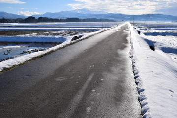 雪国の道路