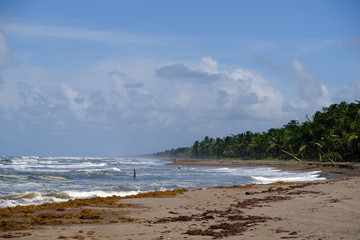 Wonderful Beaches - Costa Rica Tortuguero Beach, wild and stormy beach