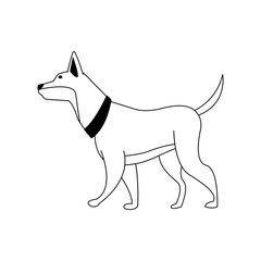 cute dog icon image, flat design