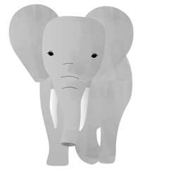 Illustration of an elephant seen from the front