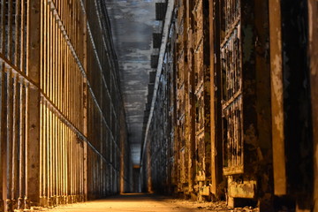 Cell Corridor