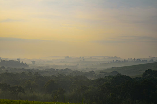 Fog covers the green hills of a tea plantation at dawn, in Kibale, Uganda, Africa © Liz W Grogan