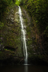 Fototapeta premium waterfall in the forest