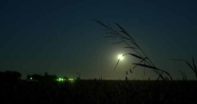 full moon over soybeans and grasses