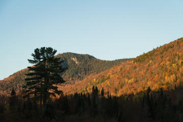autumn in the mountains
