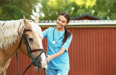 Young veterinarian with palomino horse outdoors on sunny day - obrazy, fototapety, plakaty