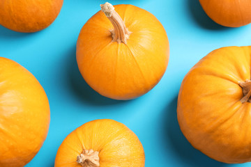 Fresh ripe pumpkins on blue background, flat lay. Holiday decoration