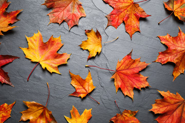 Naklejka na ściany i meble Flat lay composition with autumn leaves on grey stone background