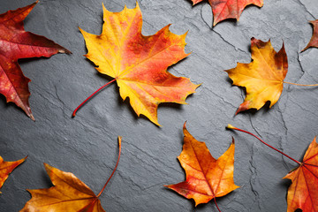 Flat lay composition with autumn leaves on grey stone background