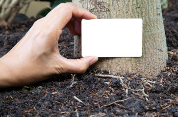 Holding a white card simulated on a natural ground with a tree background
