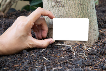 Holding a white card simulated on a natural ground with a tree background