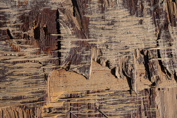 Aged wood.Textured background.Abstract concept.Interesting wallpaper.Industrial style.Nature and construction.