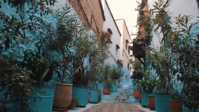 Walking through the streets of Chefchaouen and ancient buildings with blue and white walls views, covred with plants. Chefchaouen, Morocco.