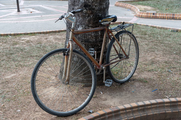 Fototapeta premium Old bicycle next to a tree in a park of a country town. Colombia.