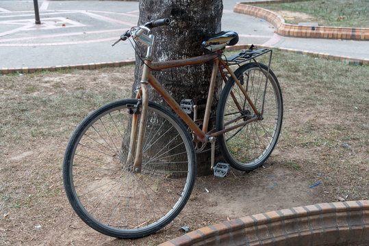 Old bicycle next to a tree in a park of a country town. Colombia.
