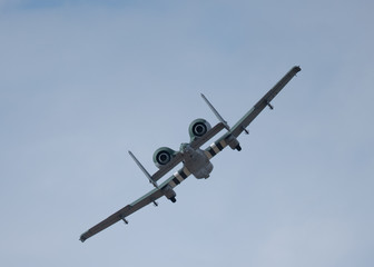 Tail view of an A-10 Thunderbolt II 